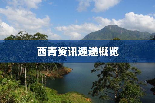 西青資訊速遞概覽