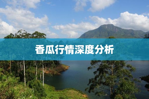 香瓜行情深度分析