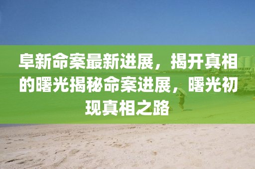 阜新命案最新進展，揭開真相的曙光揭秘命案進展，曙光初現真相之路
