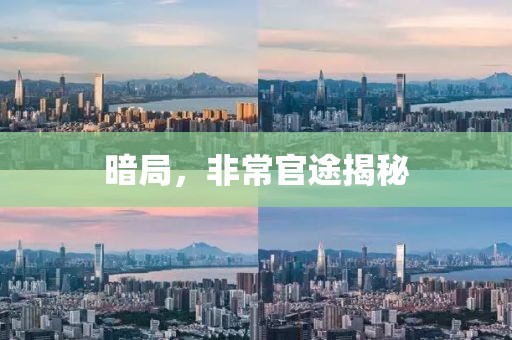 暗局，非常官途揭秘