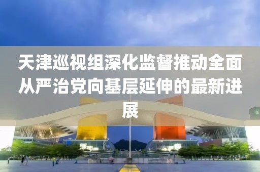 天津巡視組深化監(jiān)督推動(dòng)全面從嚴(yán)治黨向基層延伸的最新進(jìn)展