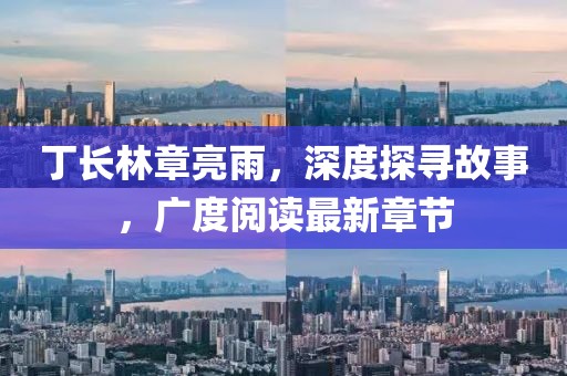 丁長(zhǎng)林章亮雨，深度探尋故事，廣度閱讀最新章節(jié)