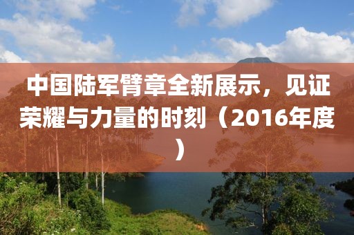 中國陸軍臂章全新展示，見證榮耀與力量的時刻（2016年度）