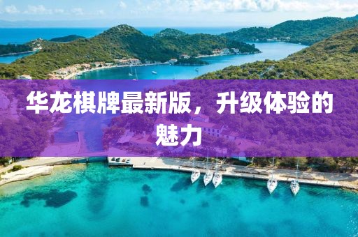 華龍棋牌最新版，升級(jí)體驗(yàn)的魅力