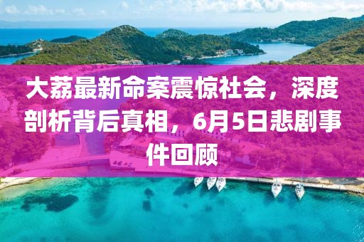 大荔最新命案震驚社會，深度剖析背后真相，6月5日悲劇事件回顧