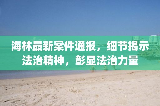 海林最新案件通報，細節(jié)揭示法治精神，彰顯法治力量