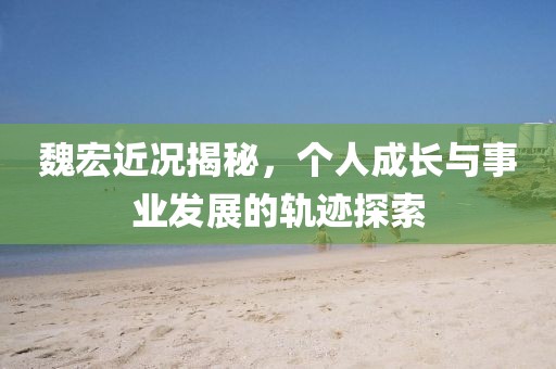 魏宏近況揭秘，個人成長與事業(yè)發(fā)展的軌跡探索