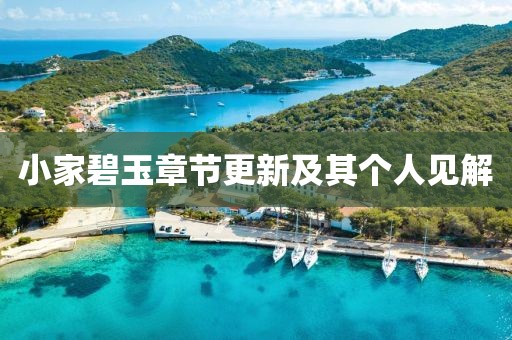 小家碧玉章節(jié)更新及其個(gè)人見(jiàn)解