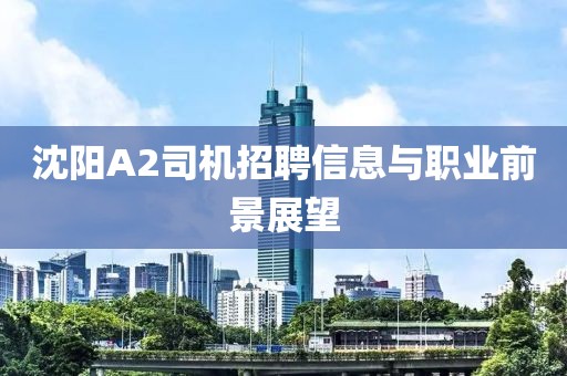 沈陽A2司機招聘信息與職業(yè)前景展望