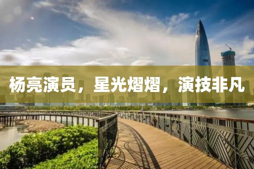 楊亮演員，星光熠熠，演技非凡