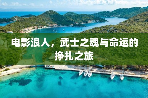 電影浪人，武士之魂與命運的掙扎之旅