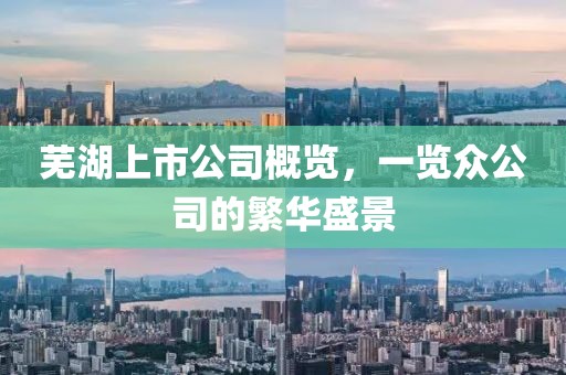 蕪湖上市公司概覽，一覽眾公司的繁華盛景