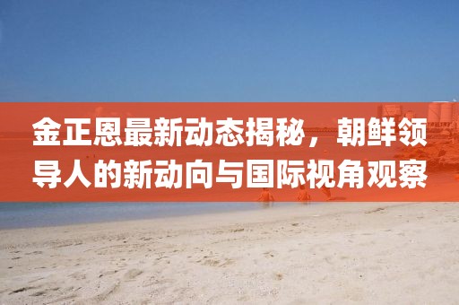 金正恩最新動(dòng)態(tài)揭秘，朝鮮領(lǐng)導(dǎo)人的新動(dòng)向與國(guó)際視角觀察