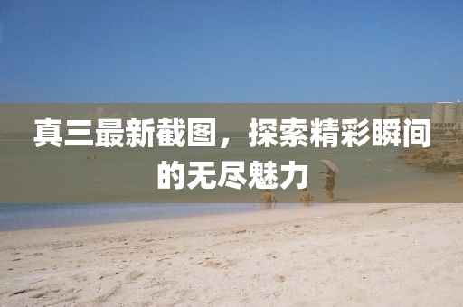 真三最新截圖，探索精彩瞬間的無盡魅力