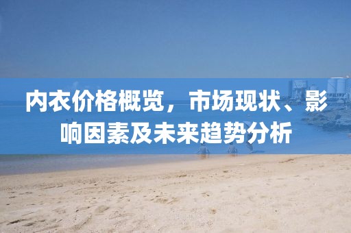 內(nèi)衣價格概覽，市場現(xiàn)狀、影響因素及未來趨勢分析