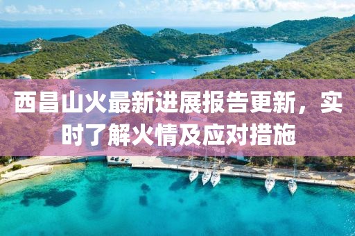 西昌山火最新進(jìn)展報(bào)告更新，實(shí)時(shí)了解火情及應(yīng)對(duì)措施