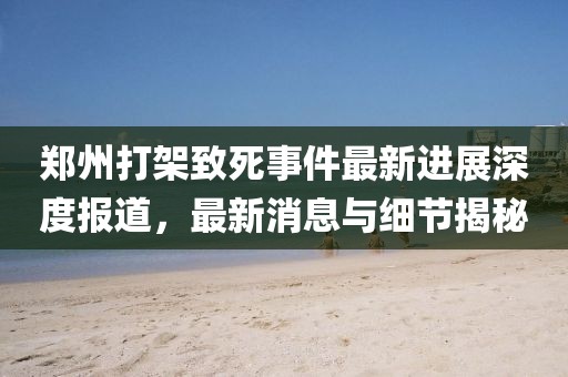 鄭州打架致死事件最新進展深度報道，最新消息與細節(jié)揭秘