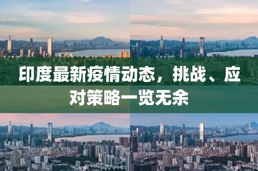 印度最新疫情動態(tài)，挑戰(zhàn)、應(yīng)對策略一覽無余