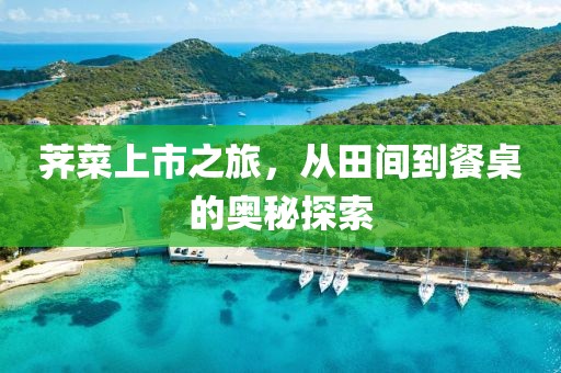 薺菜上市之旅，從田間到餐桌的奧秘探索