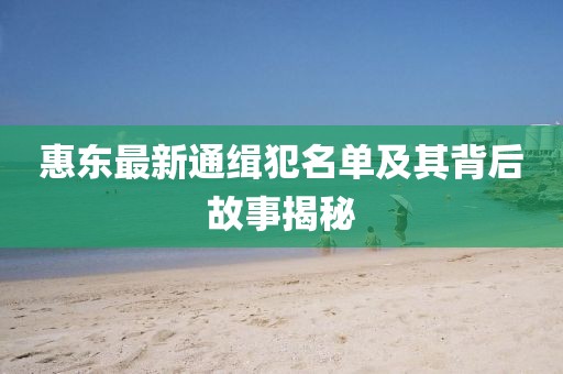 惠東最新通緝犯名單及其背后故事揭秘