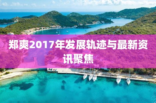 鄭爽2017年發(fā)展軌跡與最新資訊聚焦