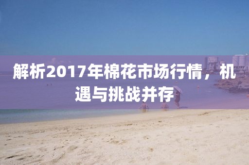 解析2017年棉花市場行情，機遇與挑戰(zhàn)并存