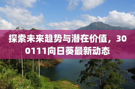 探索未來趨勢與潛在價值，300111向日葵最新動態(tài)