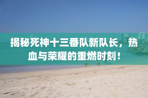 揭秘死神十三番隊新隊長，熱血與榮耀的重燃時刻！
