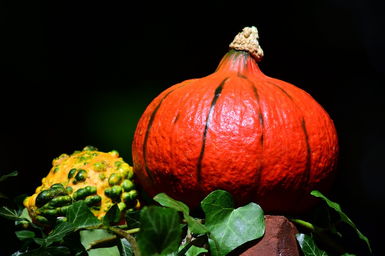 杏果飄香季，探尋杏幾月上市的季節(jié)