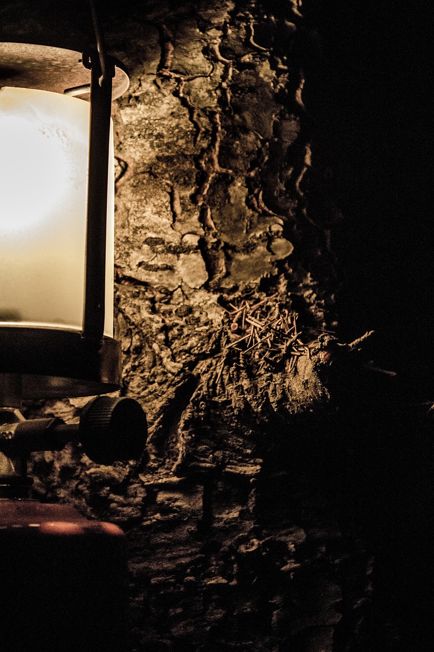 九賽溝最新動態(tài)，自然美景與持續(xù)發(fā)展的和諧共生