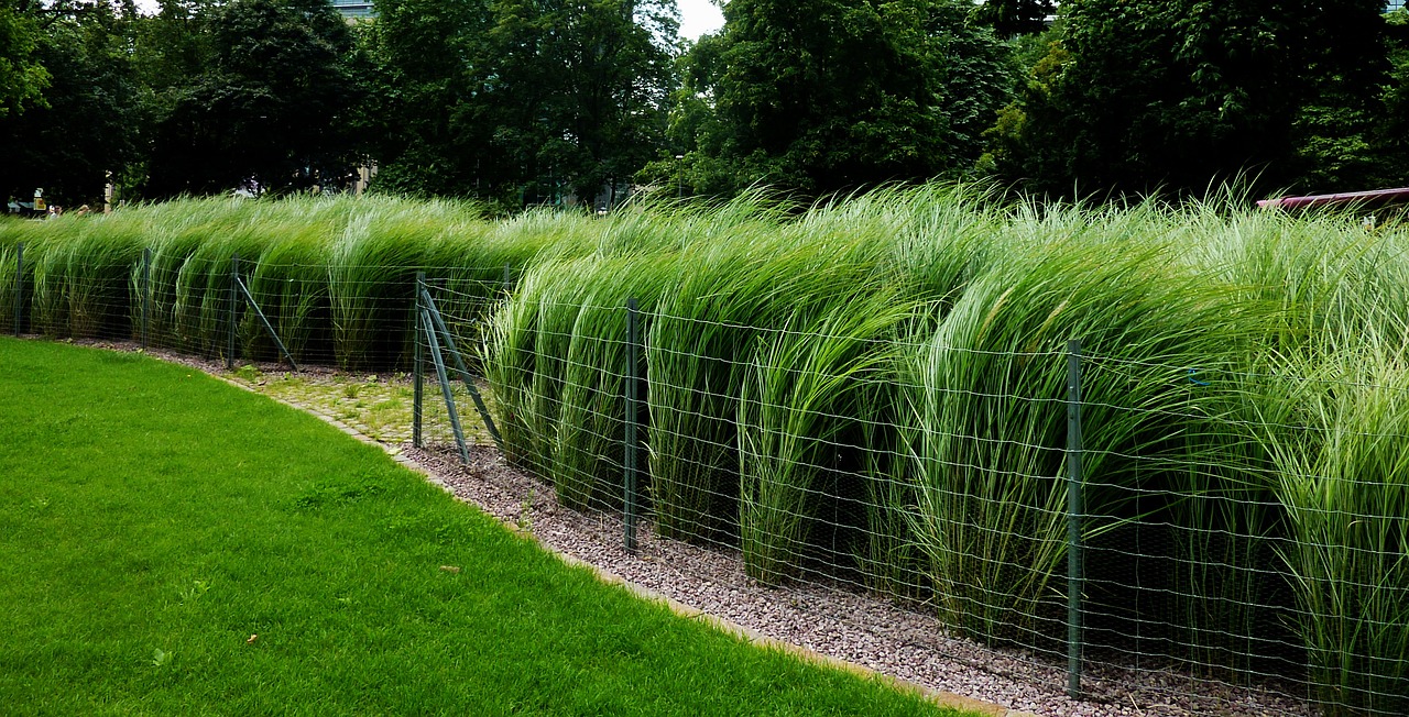 公園設計規(guī)范最新版，塑造高品質(zhì)公共綠色空間的指南