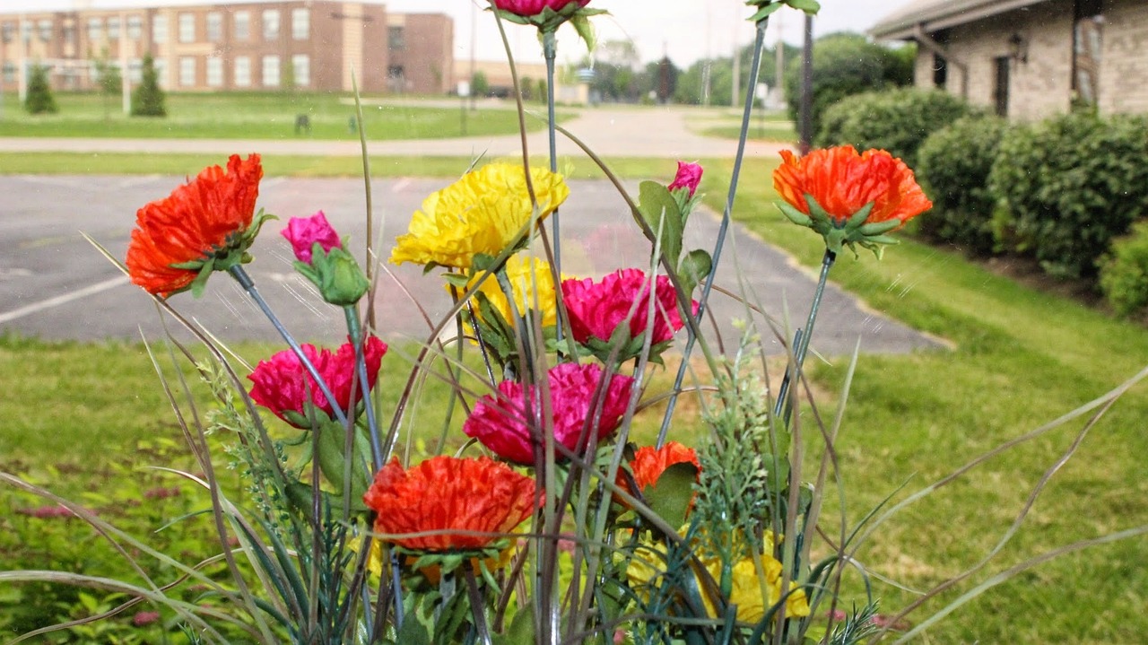 絕塵映雪 第41頁