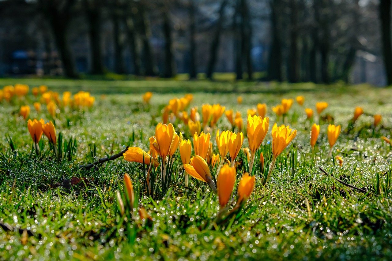 黑沢美空 第42頁