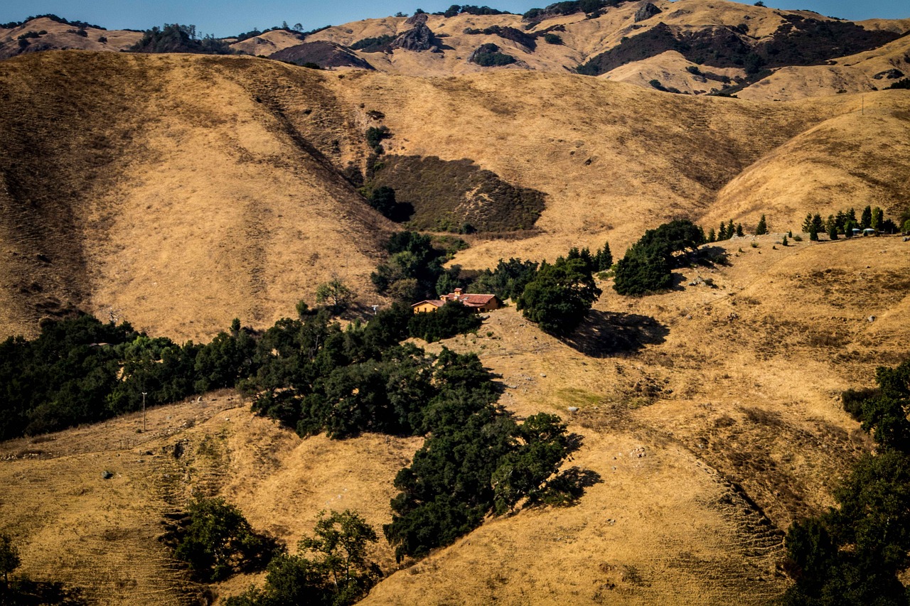 加州地震最新動(dòng)態(tài)，影響、應(yīng)對與未來展望全面解析