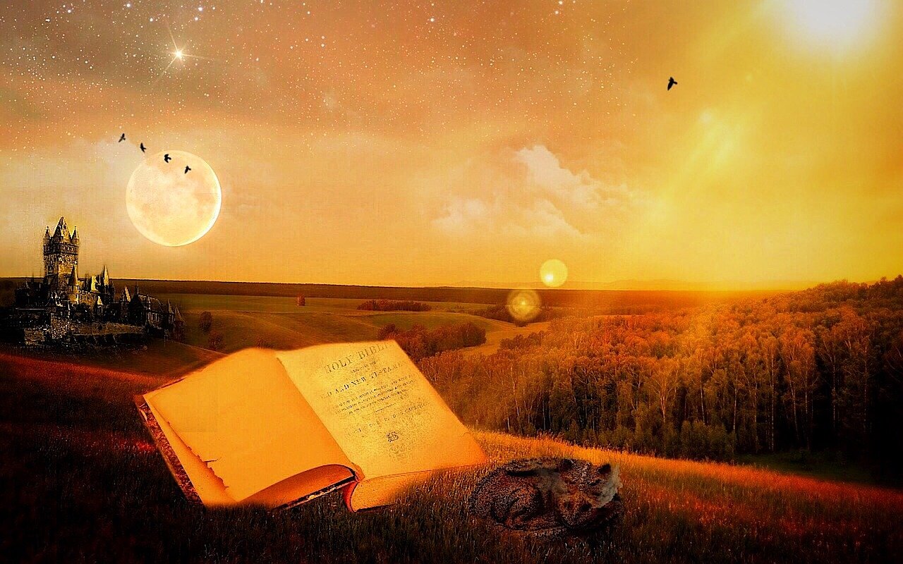 探尋修煉奧秘，道君最新章節(jié)揭秘