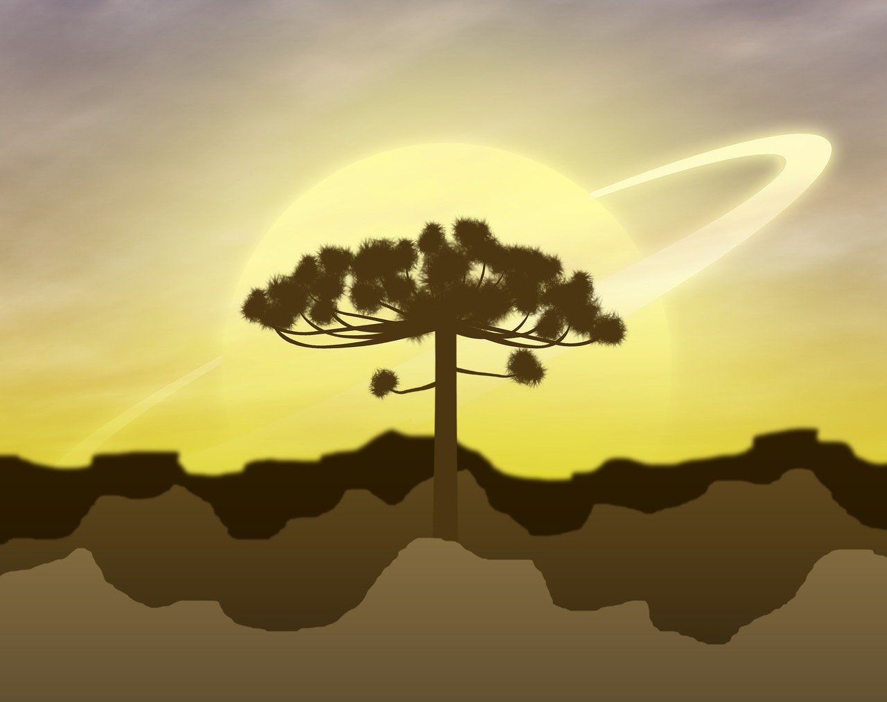 白熊動漫，奇幻之旅，探索魅力世界的無限魅力