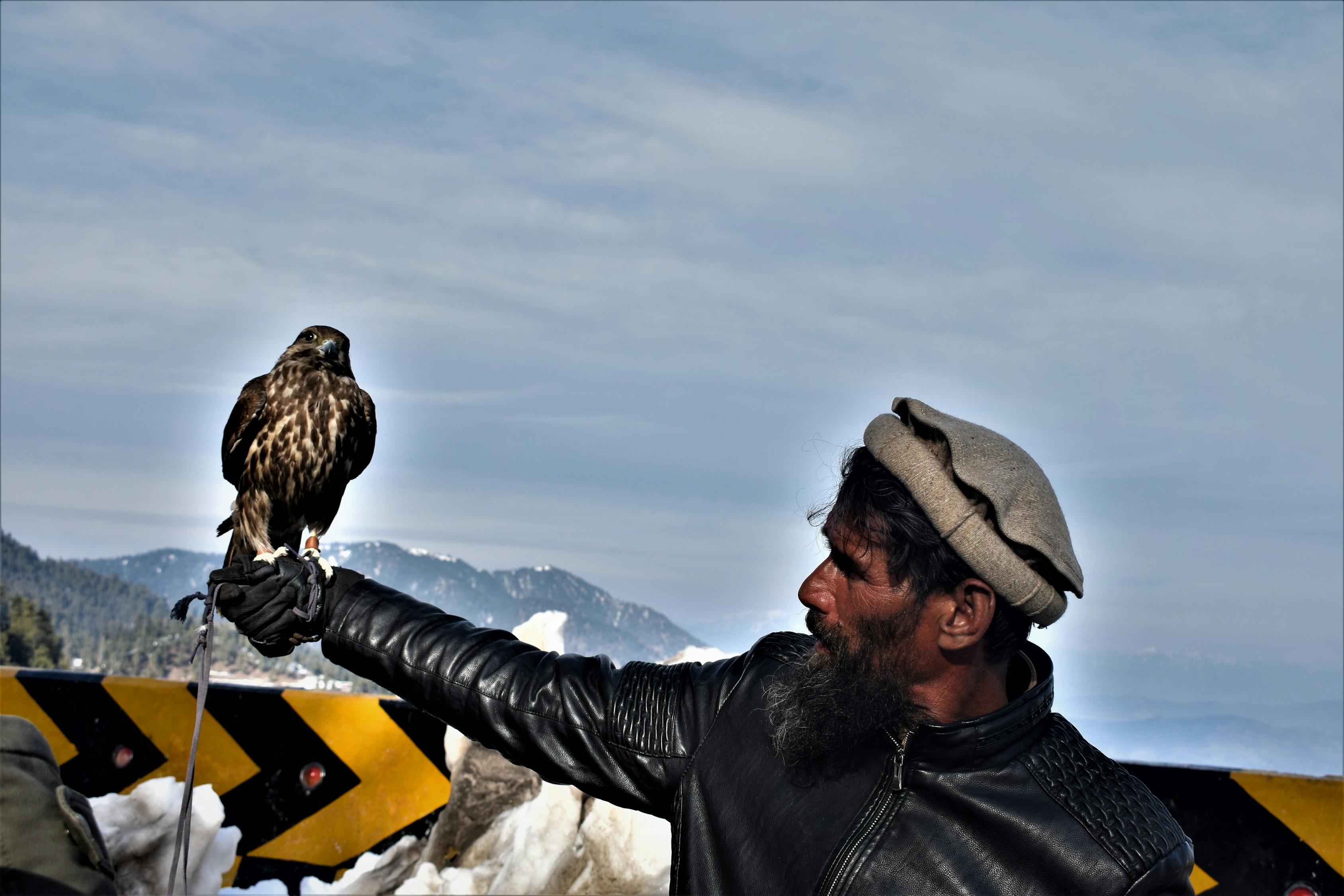 探索未來之迷與人類生存挑戰(zhàn)，最新末日預言者的警示