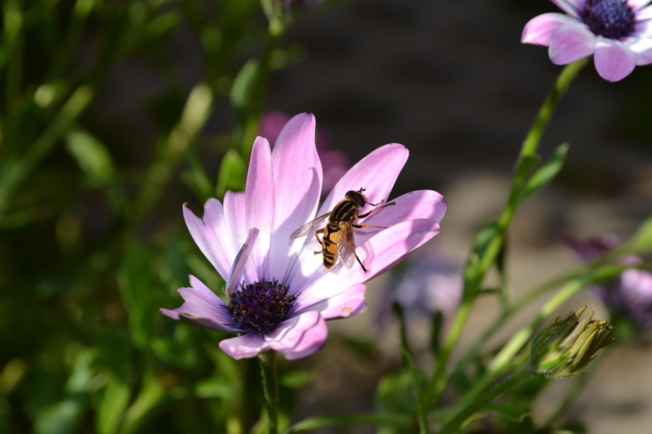 菏澤機場建設(shè)進展，最新動態(tài)與地方航空事業(yè)發(fā)展的強勁引擎