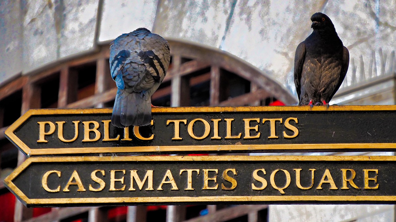 最新網(wǎng)頁游戲大盤點(diǎn)，探索當(dāng)下最熱門的游戲世界