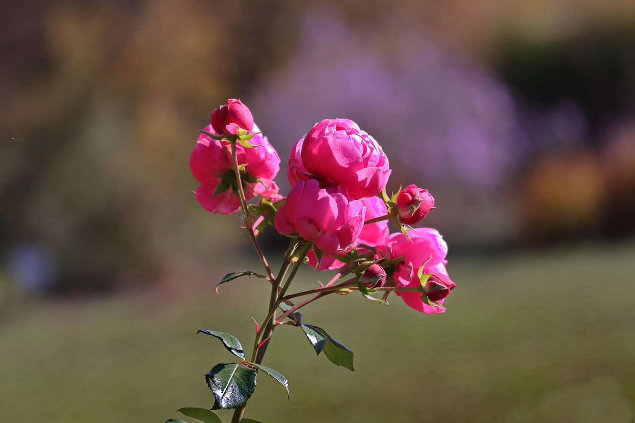 最新人生旅程探尋與領(lǐng)悟，關(guān)于前半生的動(dòng)態(tài)分享