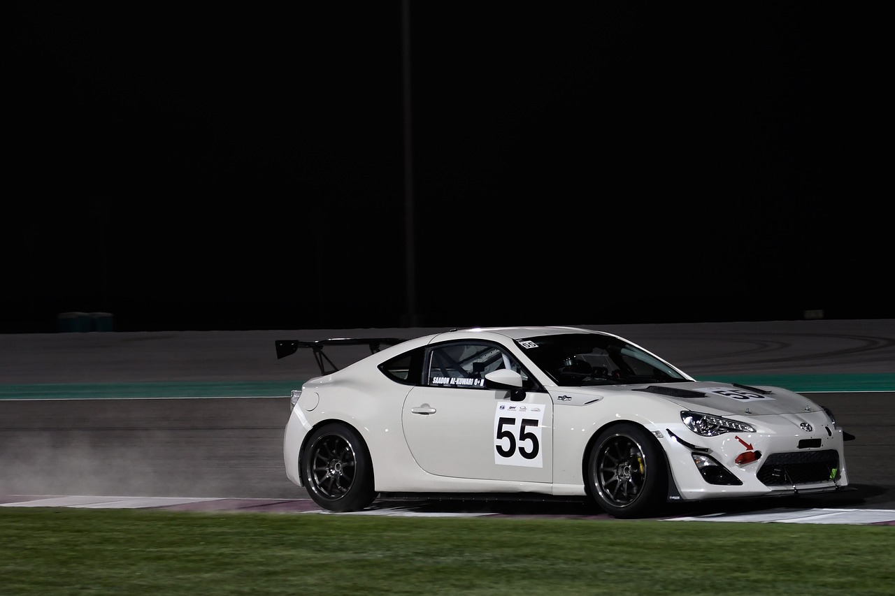 最新招財貓資訊，探尋最新動態(tài)與文化內(nèi)涵