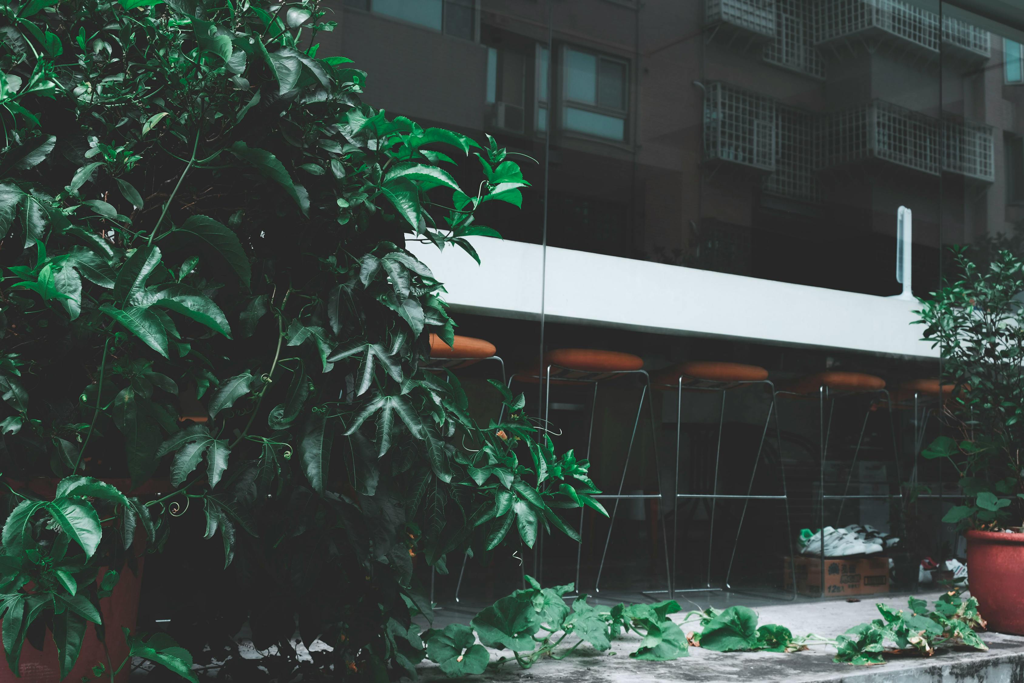 蠡縣持續(xù)拆違推進(jìn)城市更新，打造宜居環(huán)境新篇章