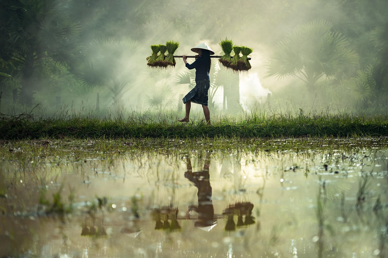 碧空云斷 第33頁