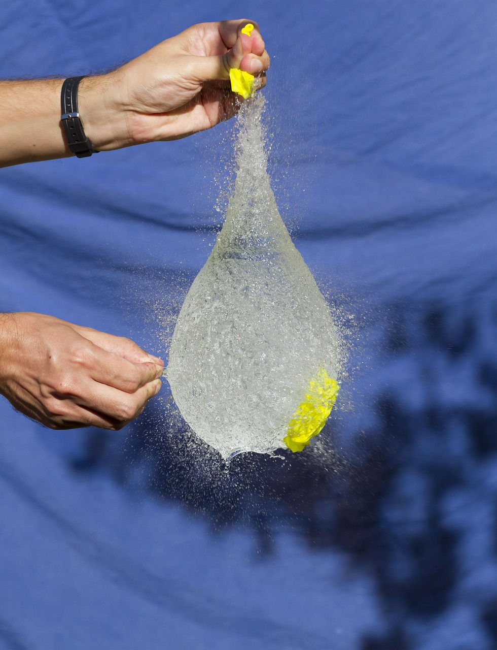 四川九寨溝地震最新動態(tài)，救援進(jìn)展、影響分析及實時更新