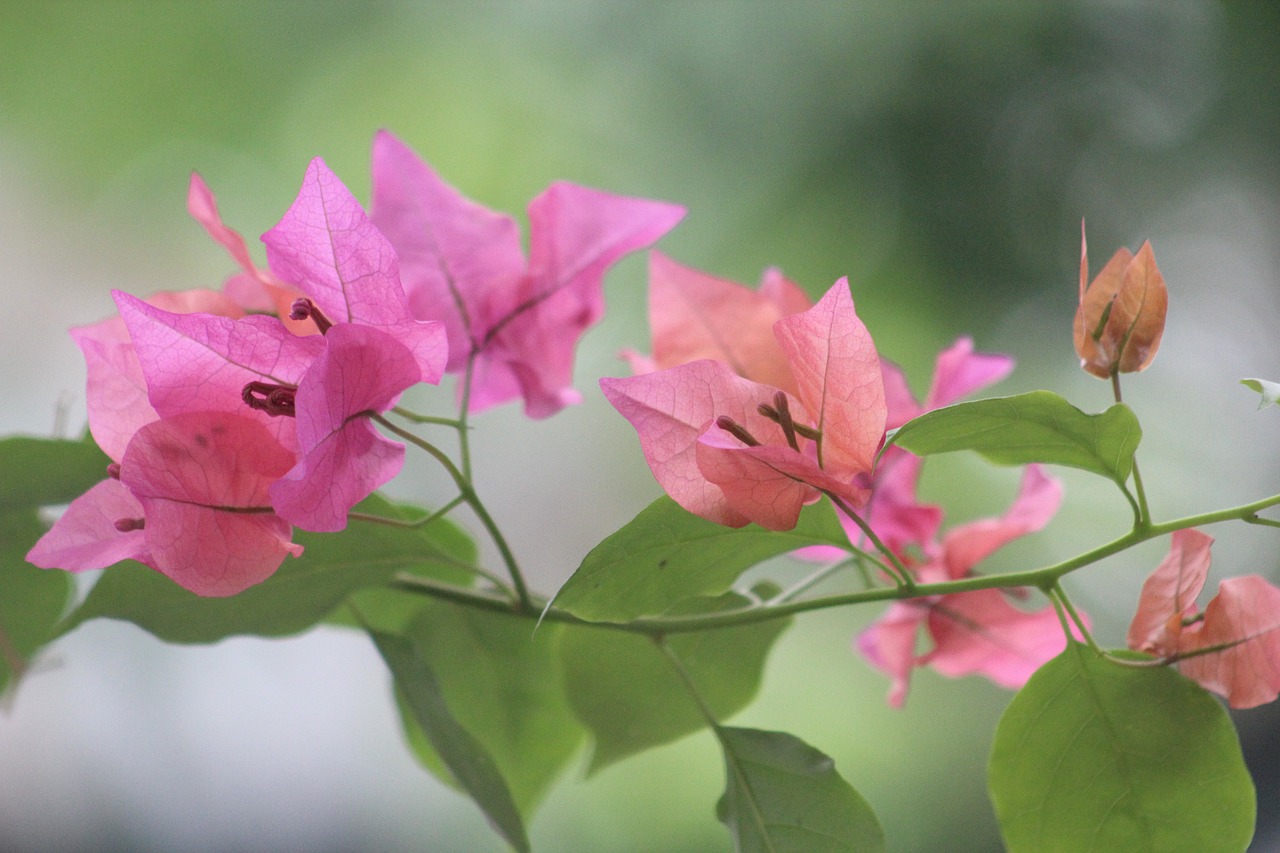 遠(yuǎn)遠(yuǎn)的望去 第30頁(yè)