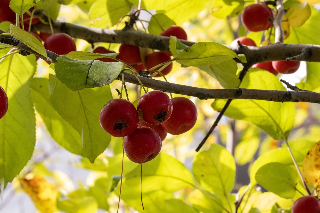 臨淄信息港最新職位招聘動態(tài)速遞