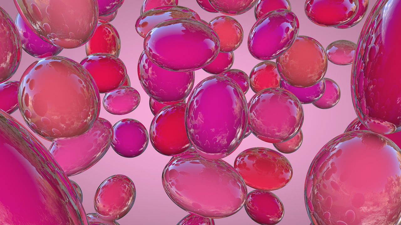 國宏馬少華最新動(dòng)態(tài)揭秘，卓越領(lǐng)導(dǎo)者的前沿領(lǐng)域探索之旅