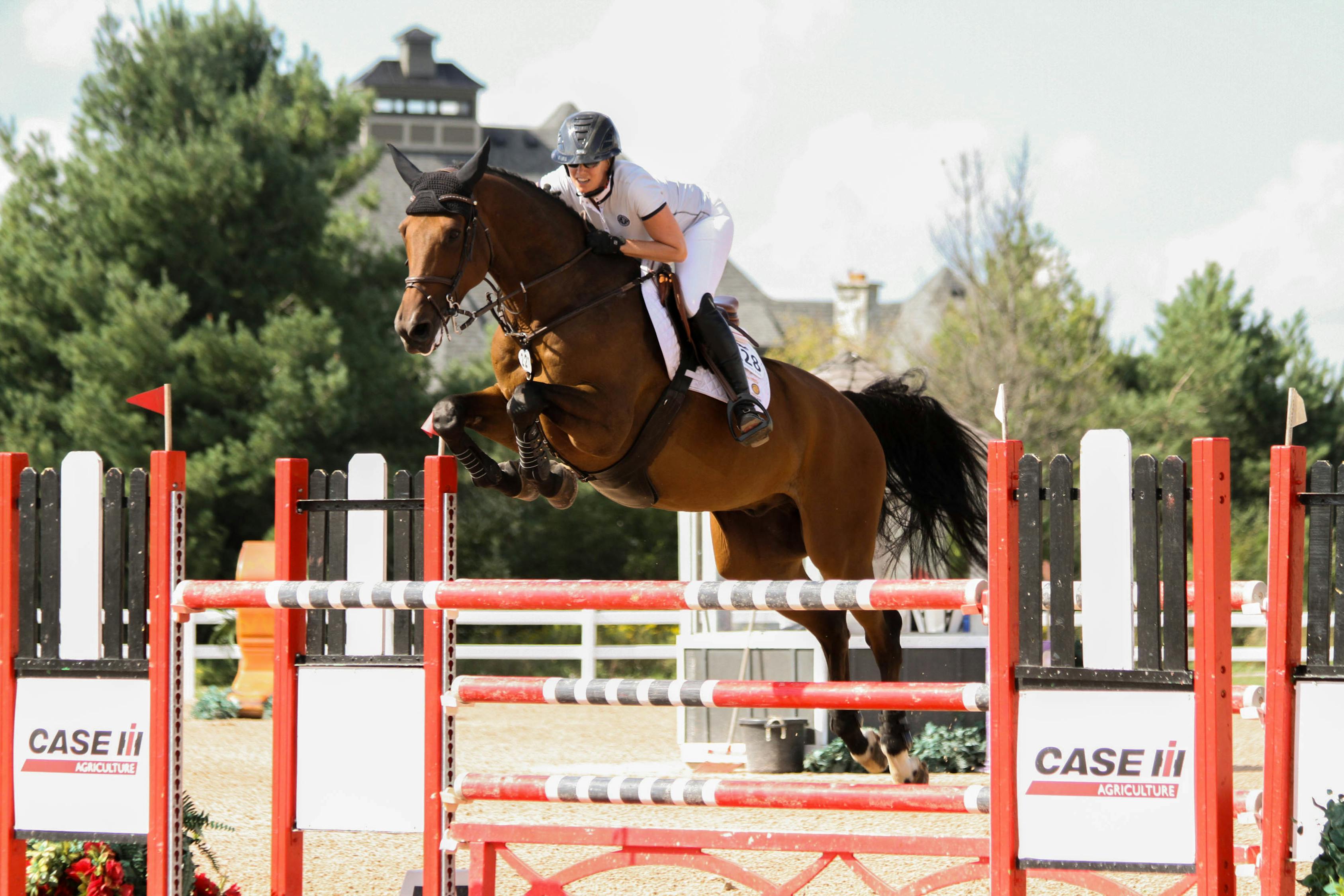 牛車(chē)比賽，傳統(tǒng)與力量的激情較量