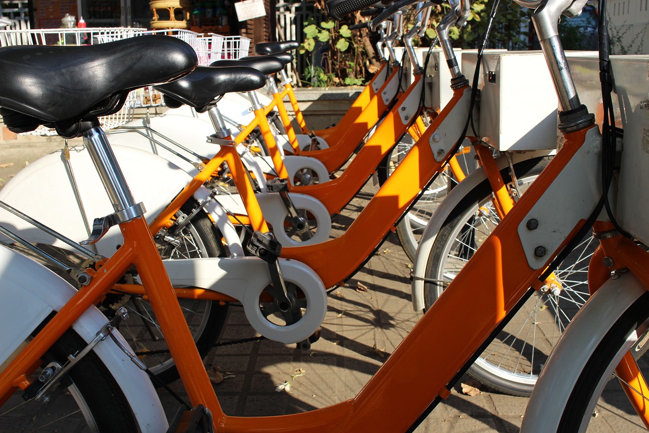 離夏惜柚子 第28頁