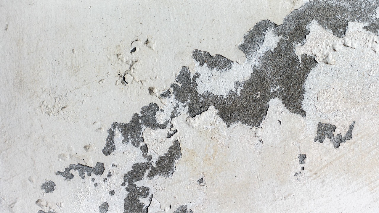 九州安置區(qū)持續(xù)推動(dòng)建設(shè)與發(fā)展，最新動(dòng)態(tài)與進(jìn)展報(bào)告